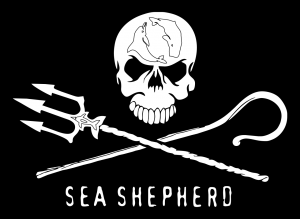 Cephei spendet an die Lichtblick Seniorenhilfe e.V, Menschen für Menschen und Sea Shepherd